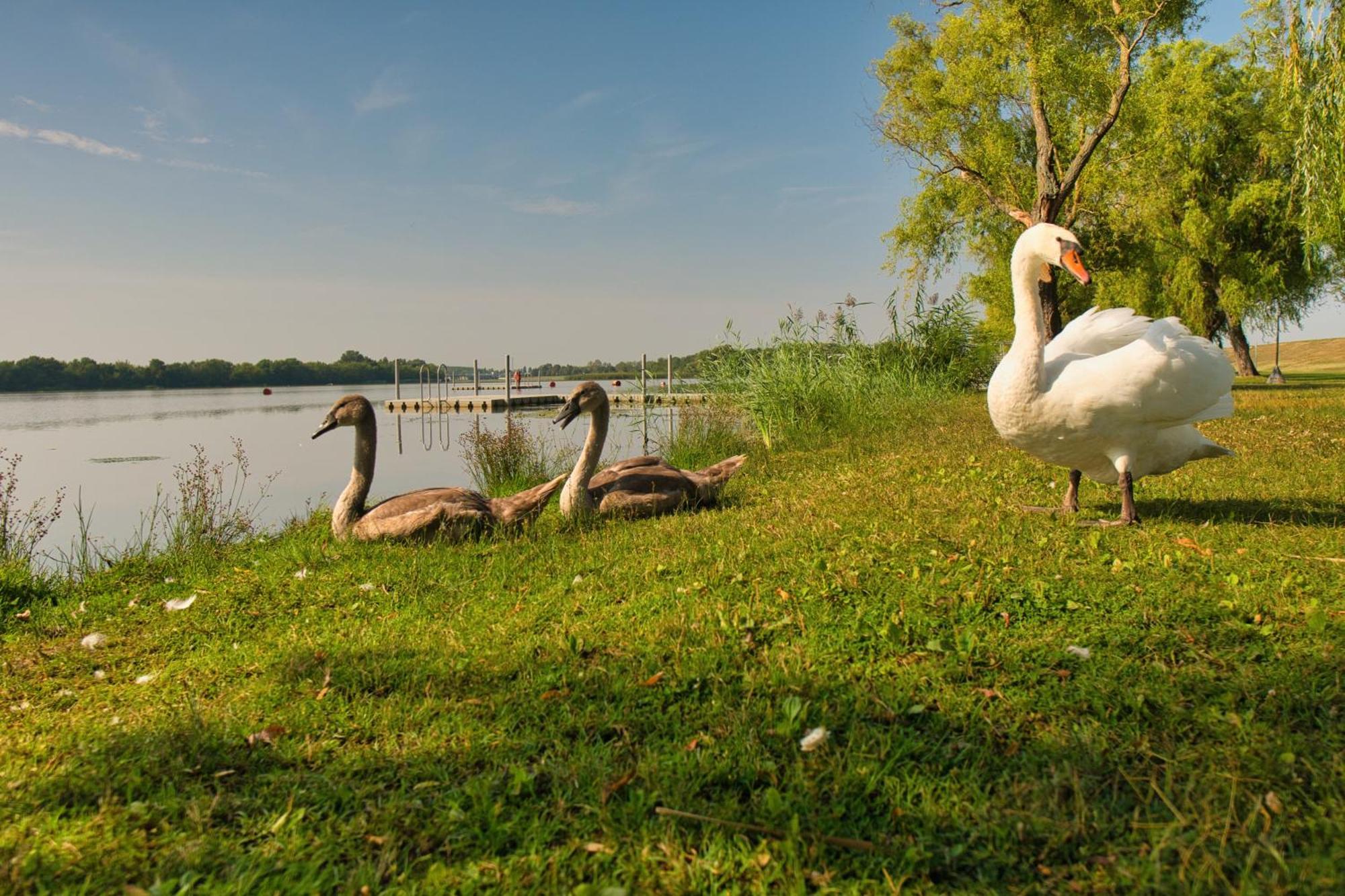 Tisza-To Apartmanpark Kisköre Extérieur photo
